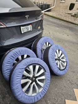 Tesla Rims