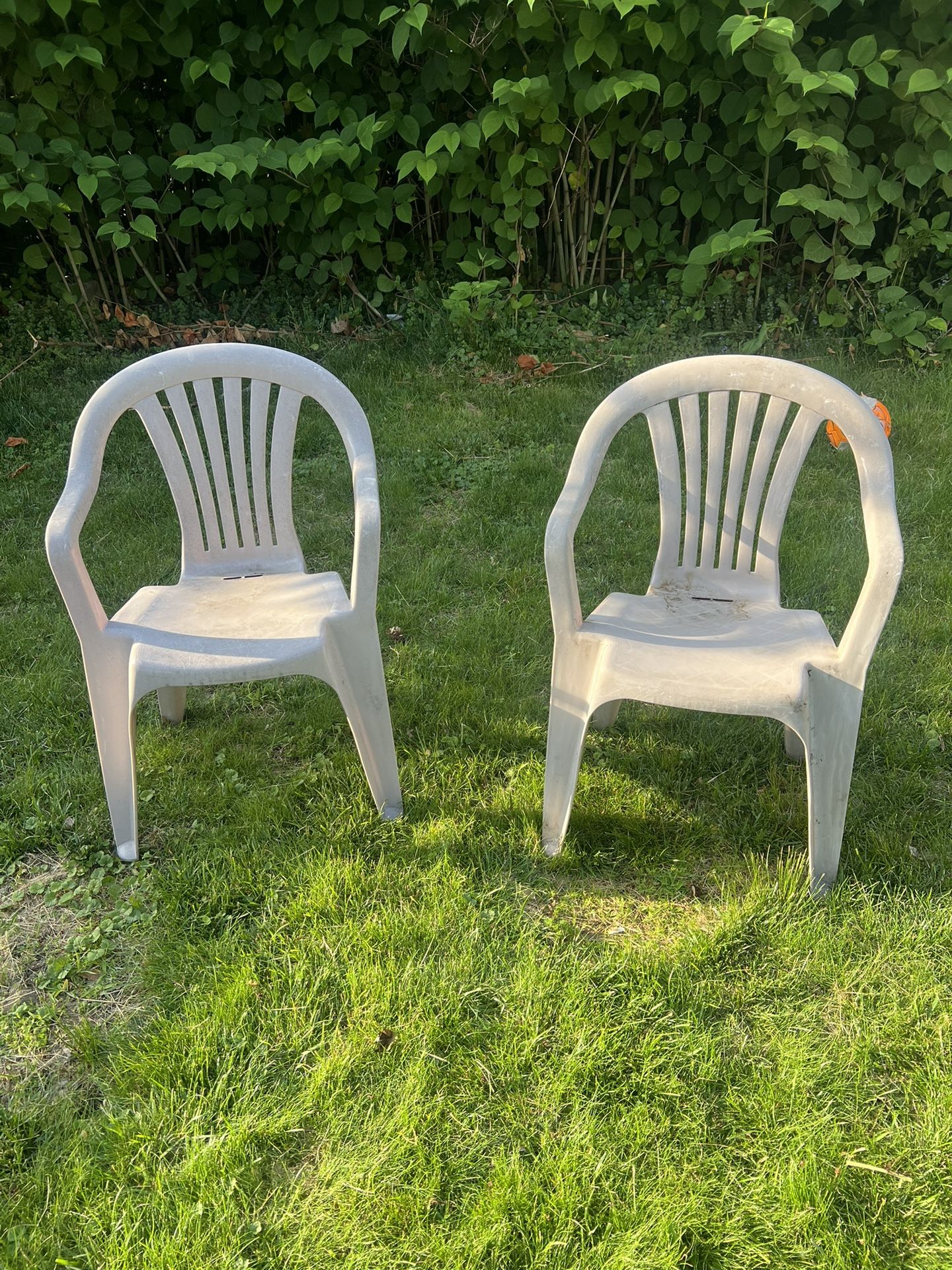 Plastic Chairs
