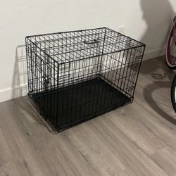 Dog Crate Clean 