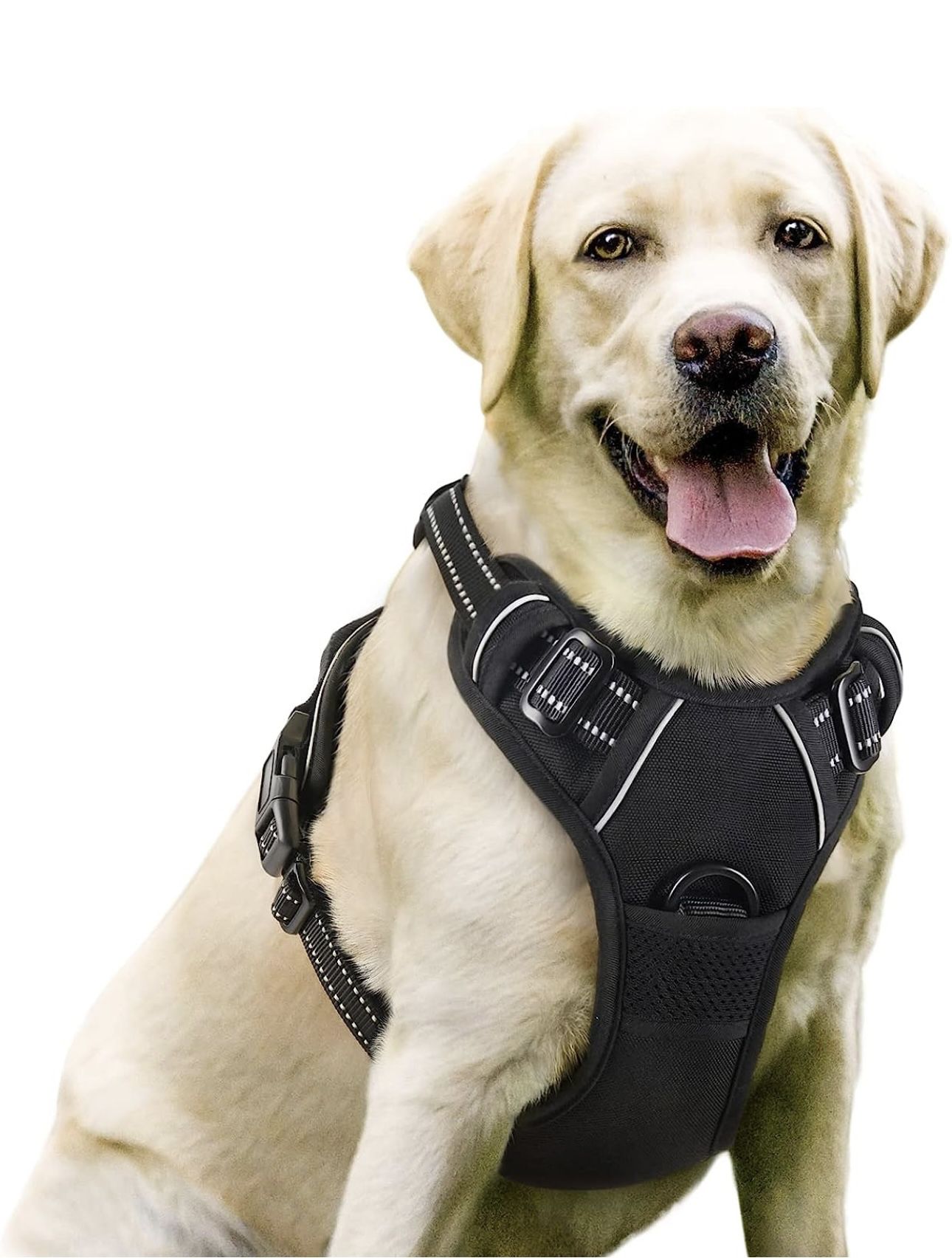 Dog Harness, No-Pull  Harness with 2 Leash Clips, Adjustable Soft Padded Dog Vest, Reflective No-Choke Pet Oxford Vest with Easy Control Handle Small 