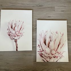 Pink Protea Canvas Art - 2 Pieces