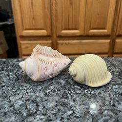 Vintage ceramic Sea Shell Pair of Salt And Pepper Shakers .  Size appropriately tallest 2 inch tall.  Preowned .  Has been on display in a cabinet wit