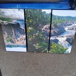 3 Three- 12x24 Wall Pictures