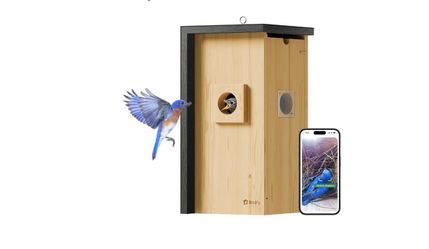 Bird House with Camera Inside, Metal Clad, AI Bird ID & Nest Story(JL82)