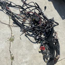 2009 Harley Davidson Street Glide Wire Harness