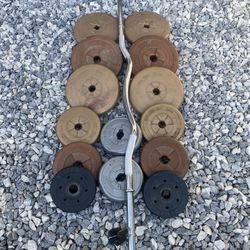 Weights Curl Bar 
