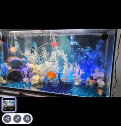 Clear-For-Life 90 Gallon Rectangle Aquarium