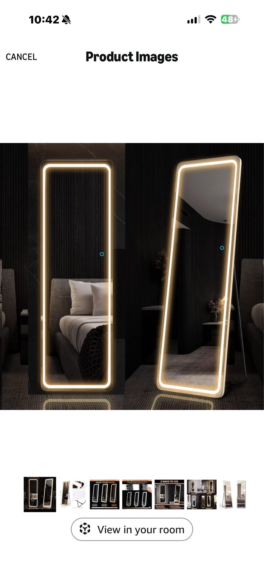 Full Length Mirror with LED Lights