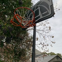 Basketball Hoop