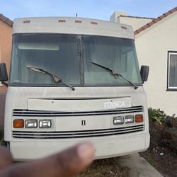 Rv 
