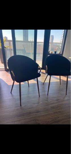 Black Velvet Chairs