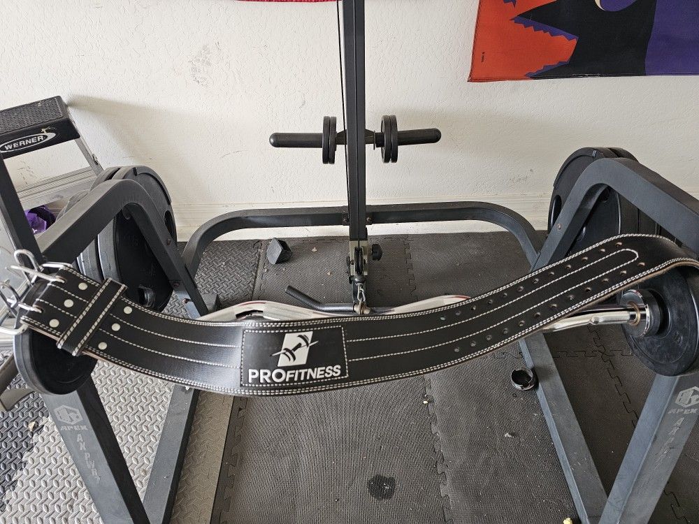 Lightly Used Pro Fitness Weight Belt