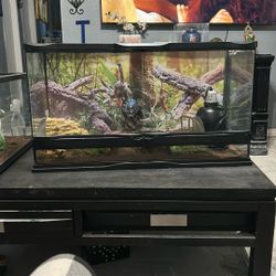 Reptile Habitat Tank 