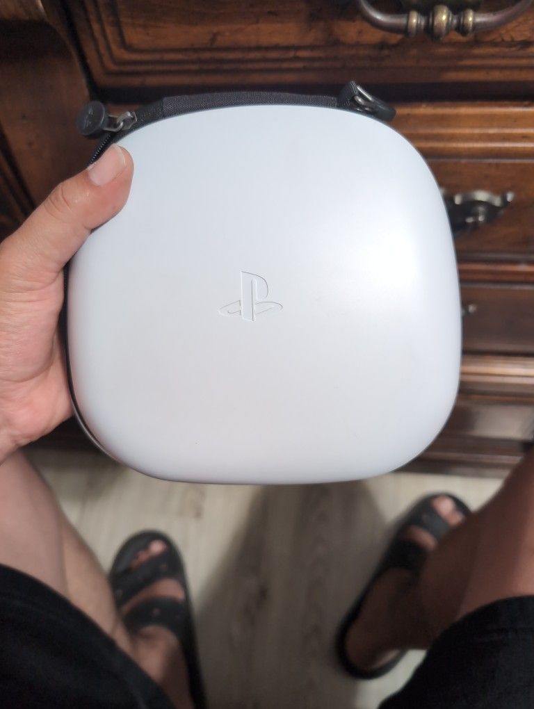 Ps Dual Sense Case Only
