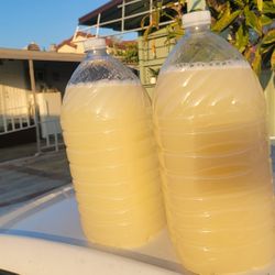 Pulque Y AGUA MIEL NATURAL DE JALISCO