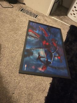 Spider man picture holo