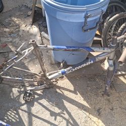 Schwinn Bicycle Frame