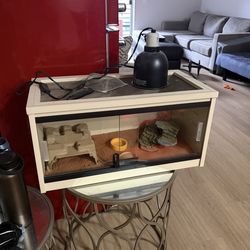 Modern Style Reptile Tank w Lamp and Features Inside