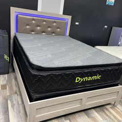 FREE DELIVER SAME DAY 