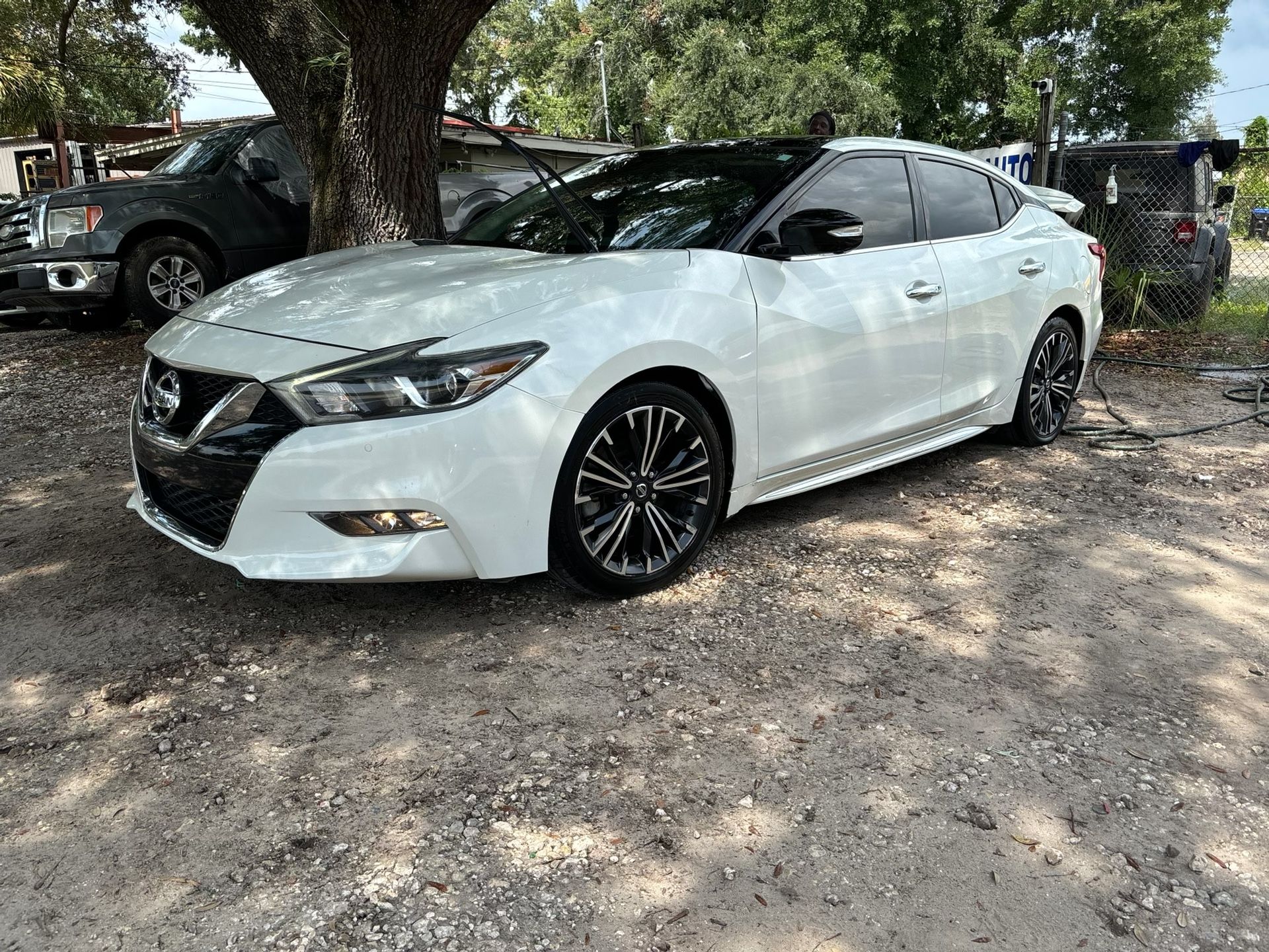 2019 Nissan Maxima