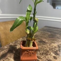 Bamboo Stalks (two) In Brown Copper Colered Vase