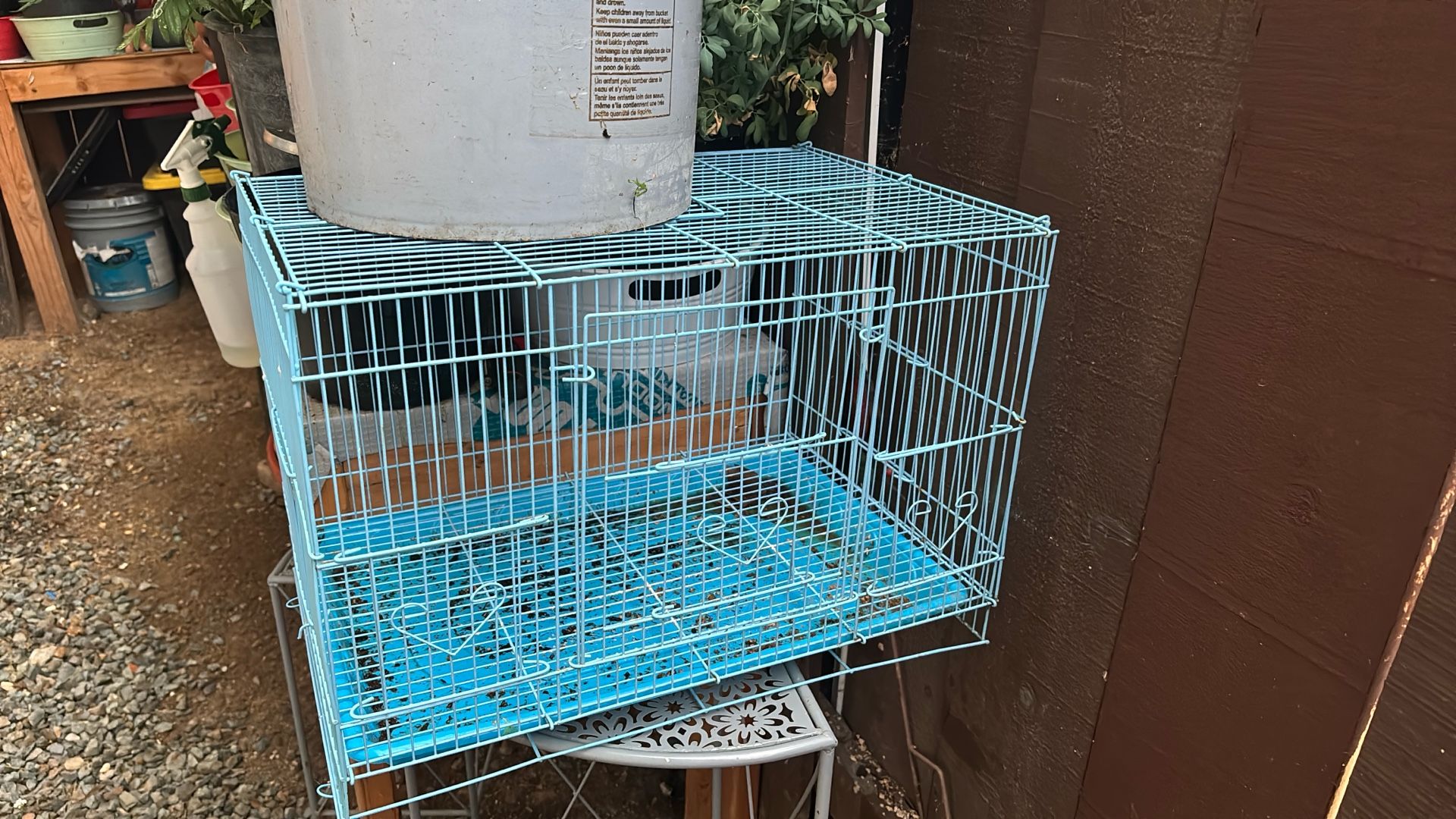 Bird Cage 
