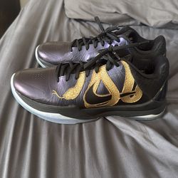 Nike Kobe 5 protro year of the mamba “eggplant”