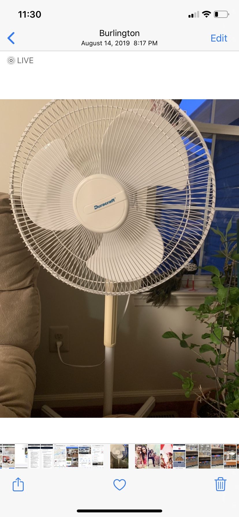 Standing Fan