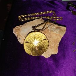 Sand Dollar Necklace. Very Special!