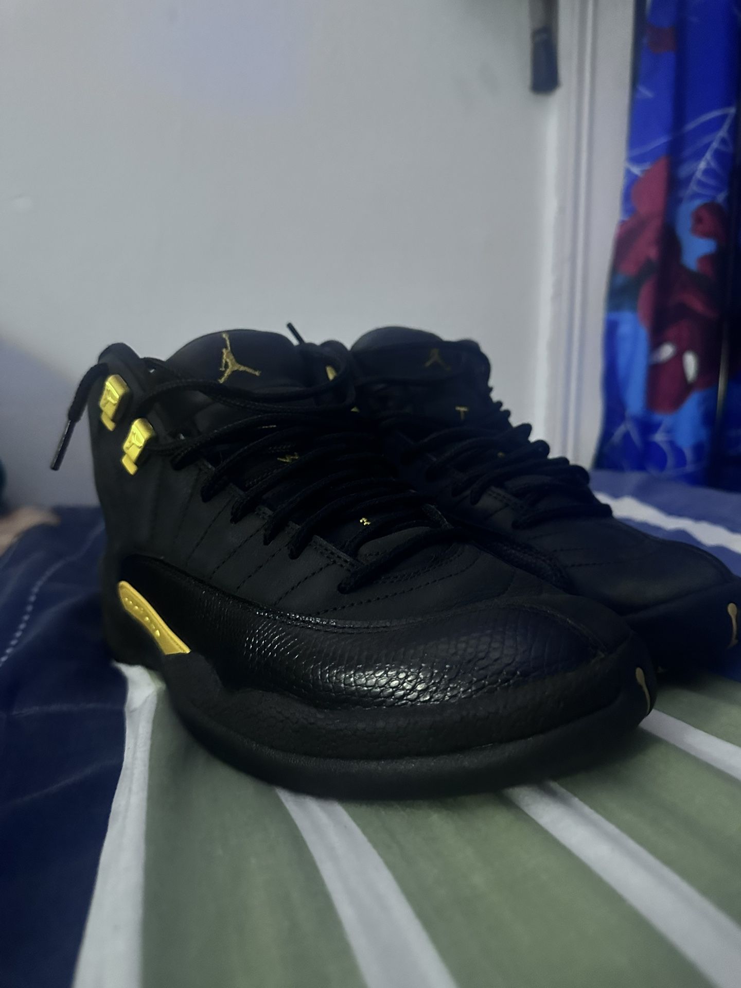 Jordan 12