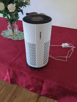 Ecoself Air Purifier