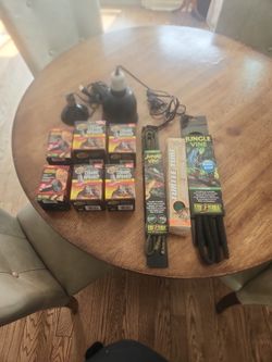 lizard lights and acc