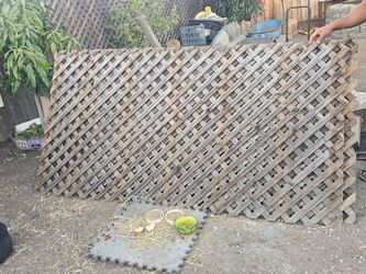 Free Lattice