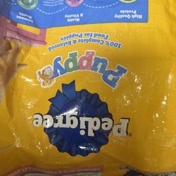 Dog Food 