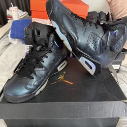 Jordan  6 chameleon used