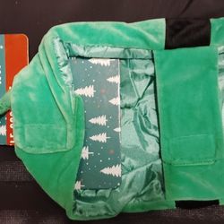 Elf Costume For 15-19 Pound Dog