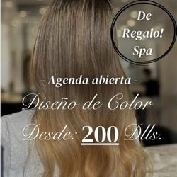 Profesional Hair Dye  