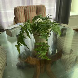 Plant (natural Look)