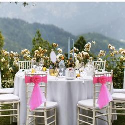 Pack of 10 Flowers Organza Stretch Chair Sashes for Romantic Wedding Holiday Party Celebration Birthdays Chair Decorations (Rose, 10pcs)