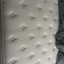 Queen Size Bed