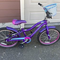 schwinn sunnyside 20