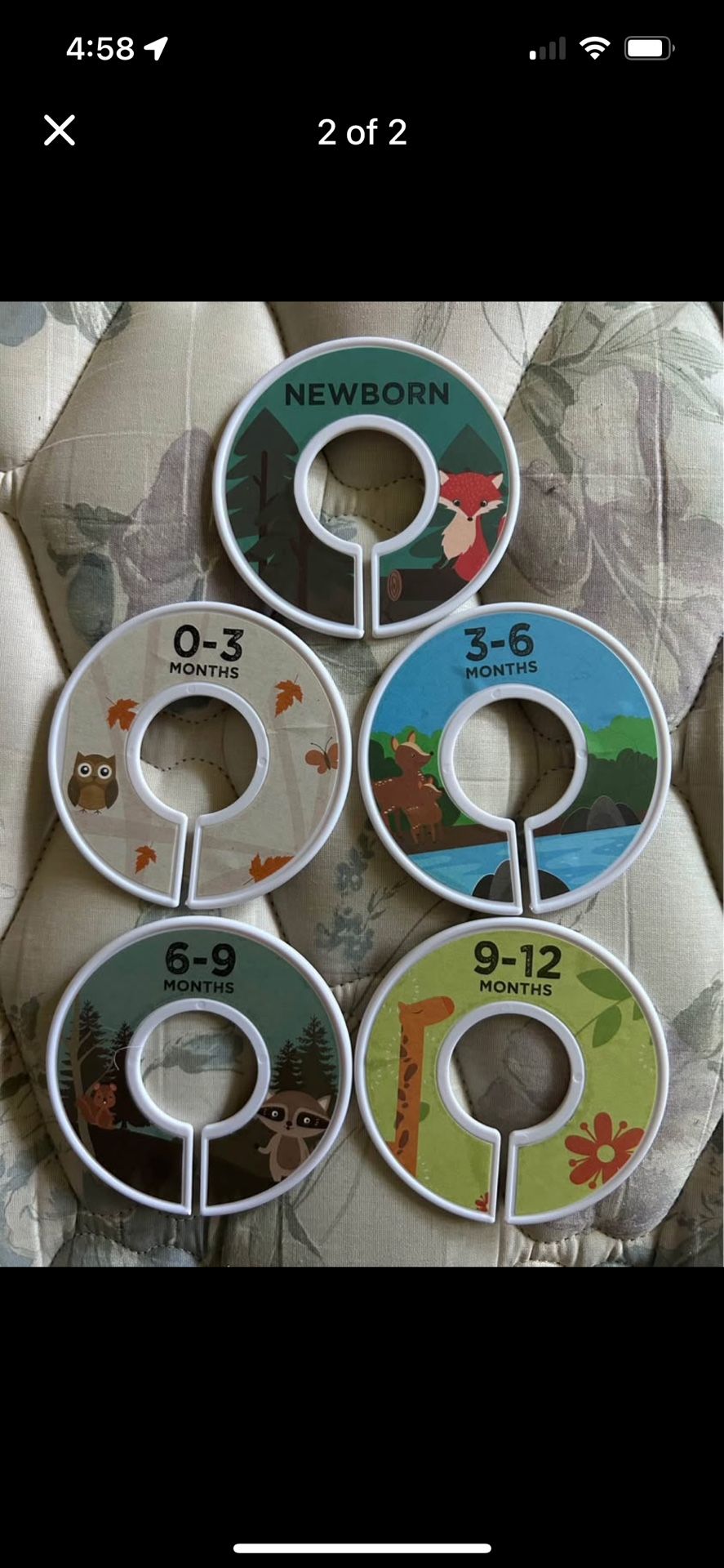 Wild Safari Closet Dividers