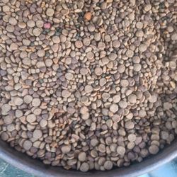 Dog Food Premium Mixed .50 ¢ A Pound I Have 275 Pounds  Now