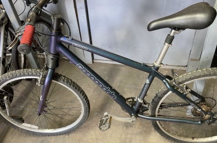 Cannondale F1000