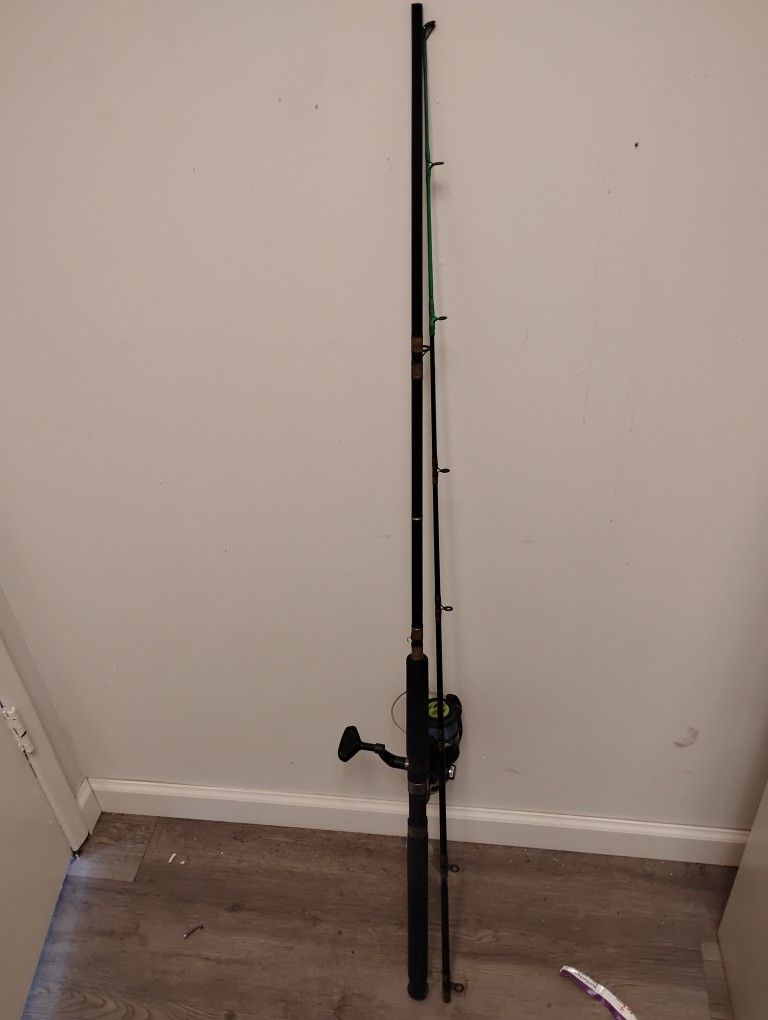 Fishing Rod And Reel