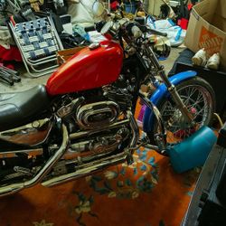 2002 Harley Davidson 1200 Custom 