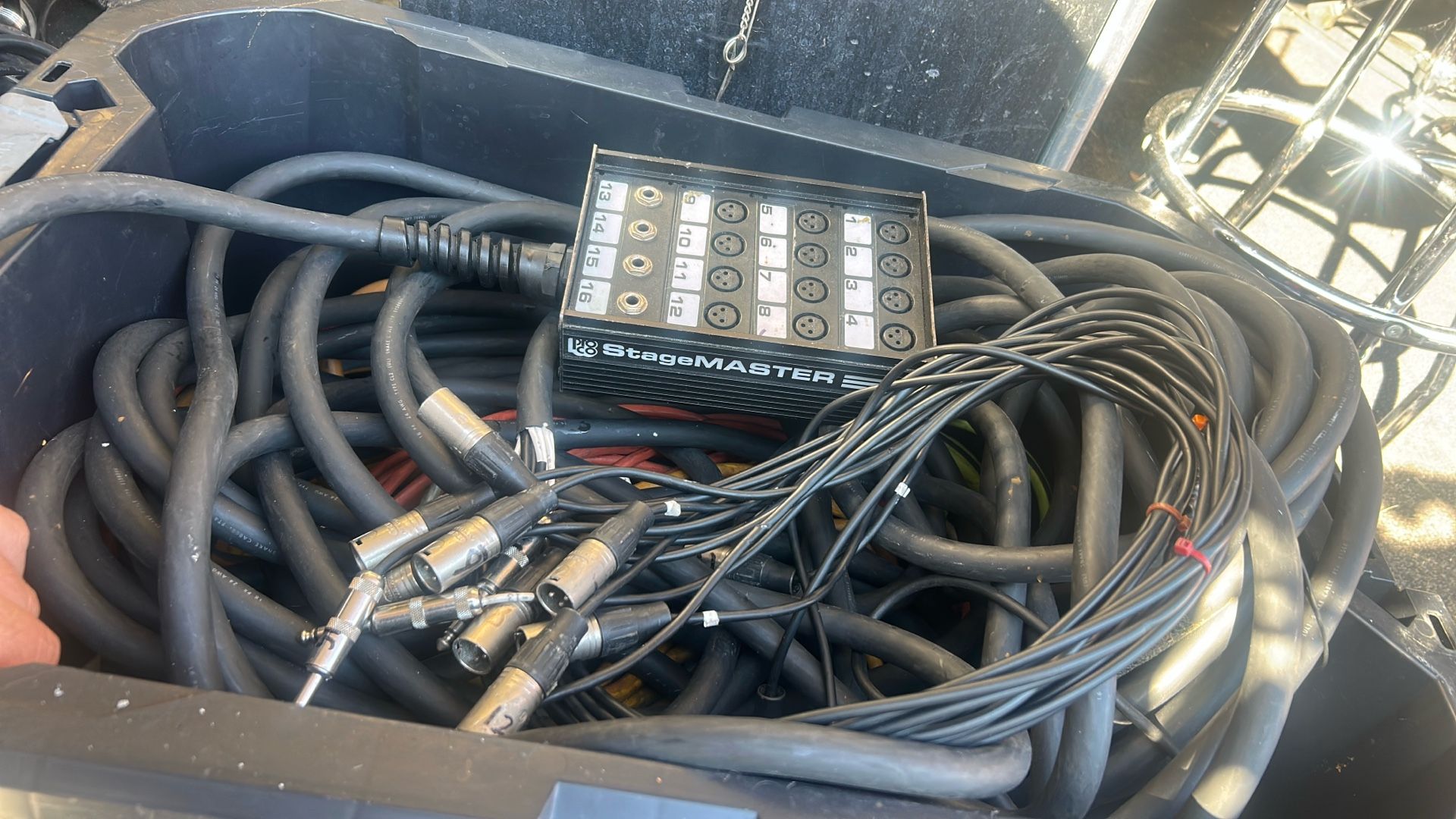 Proco Stagemaster 16 Channel Snake