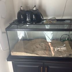 Zoo Med reptile cage 