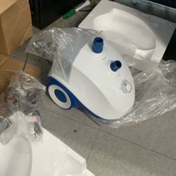 Garment Steam Cleaner 