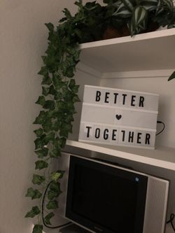 Hanging vines home decor